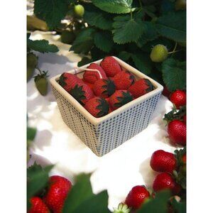 New Farmhouse Garden Basket Of Strawberries Fruit Food Candle Soy Blend Decor